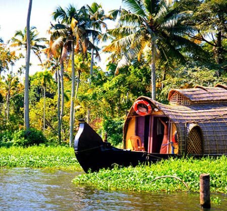 Tranquil Waters: A 3-Day Retreat Exploring the Backwaters of Kerala