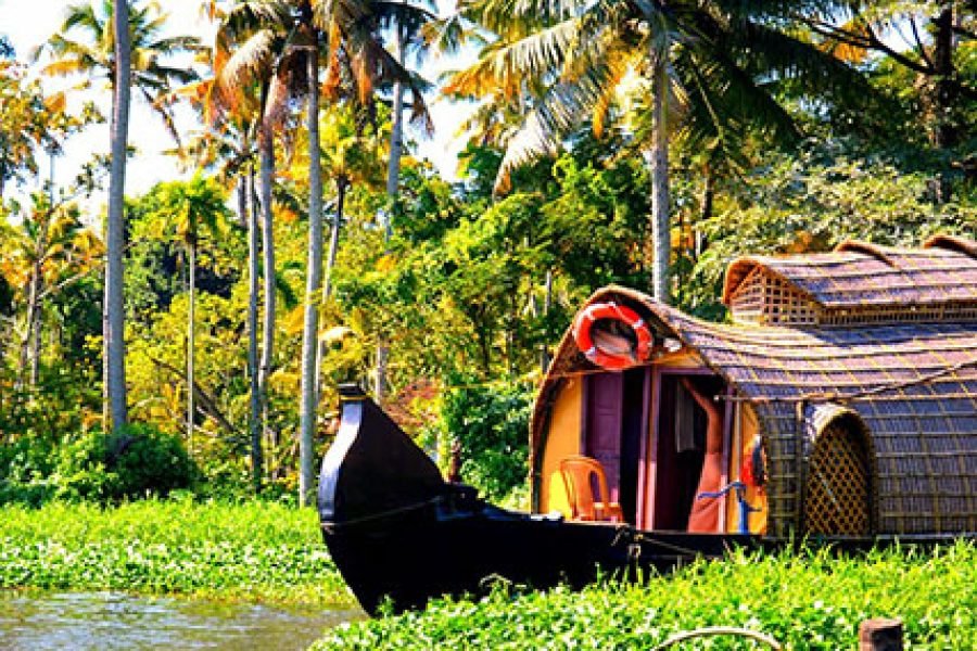 Tranquil Waters: A 3-Day Retreat Exploring the Backwaters of Kerala