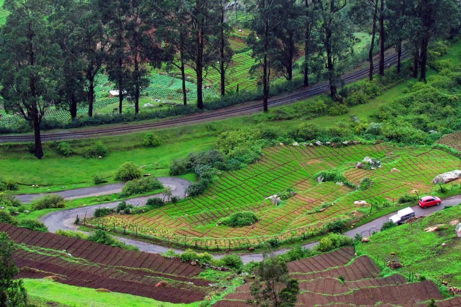 Enchanting Ooty: A 3-Day Hill Station Retreat